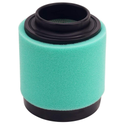 Filtr powietrza Polaris Trail boss