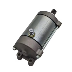 Rozrusznik Loncin Xwolf 270350148-0001