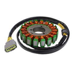 Stator, uzwojenie alternatora QJMOTOR, 299036770000