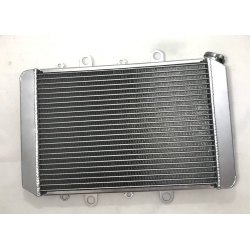 radiator yamaha grizzly 700