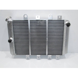 radiator yamaha grizzly 700