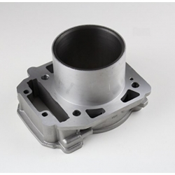 cylinder can-am 800