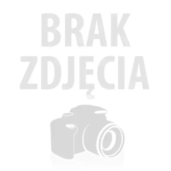 Wał napędowy Segway A10P11010000