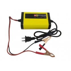 ATV charger battery