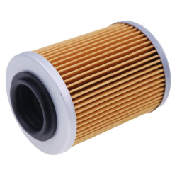 Filtr oleju Odes Pathcross 850 1000, 21040111601