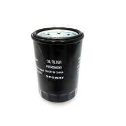 Filtr oleju Segway, F02G00500001