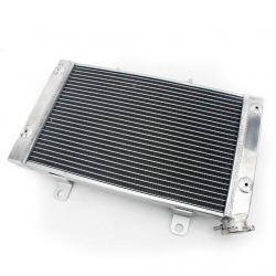 radiator yamaha rhino 700