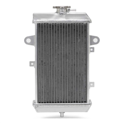1PE-E2460-00-00, 1PE-E2460-01-00