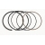 pierścienie tłokowe cfmoto 600 X6, 0600-0400A0